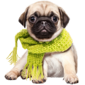 Accesorios para Groomers